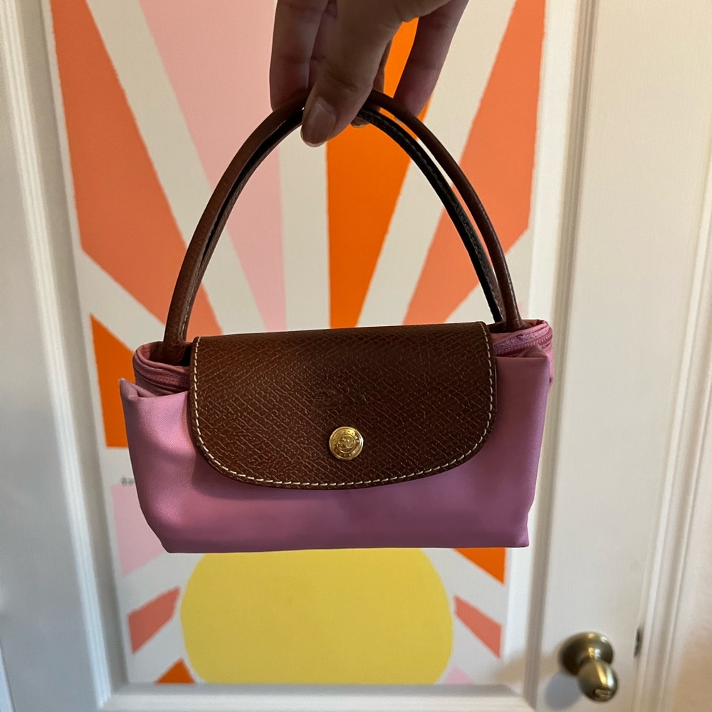 Purse from Long Champ Le Piliage